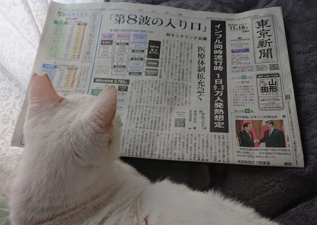 おじいさんねこのゴンじいが、新聞の一面記事を見ている写真。紙面には「第８波の入り口」と書かれている。ゴンじいが心配そうに新聞を見ている。