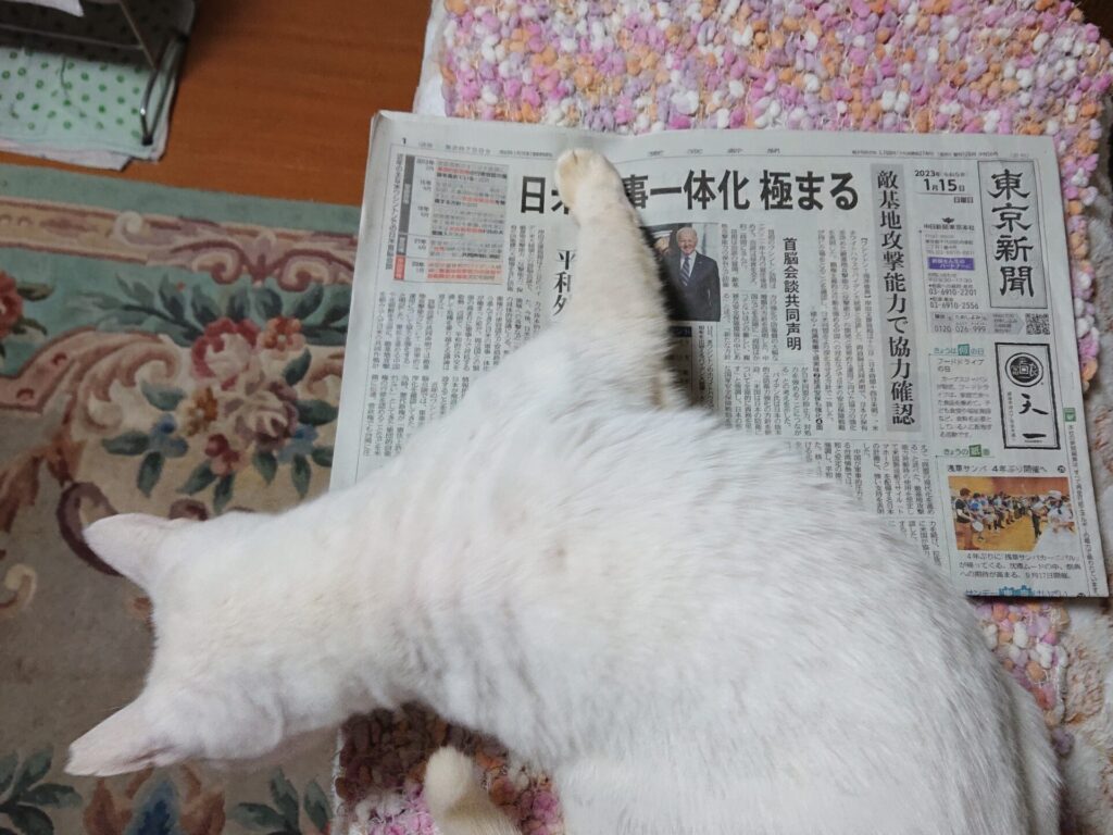 新聞の見出しを踏みつけて、下にいるほかのねこに何か訴えています。